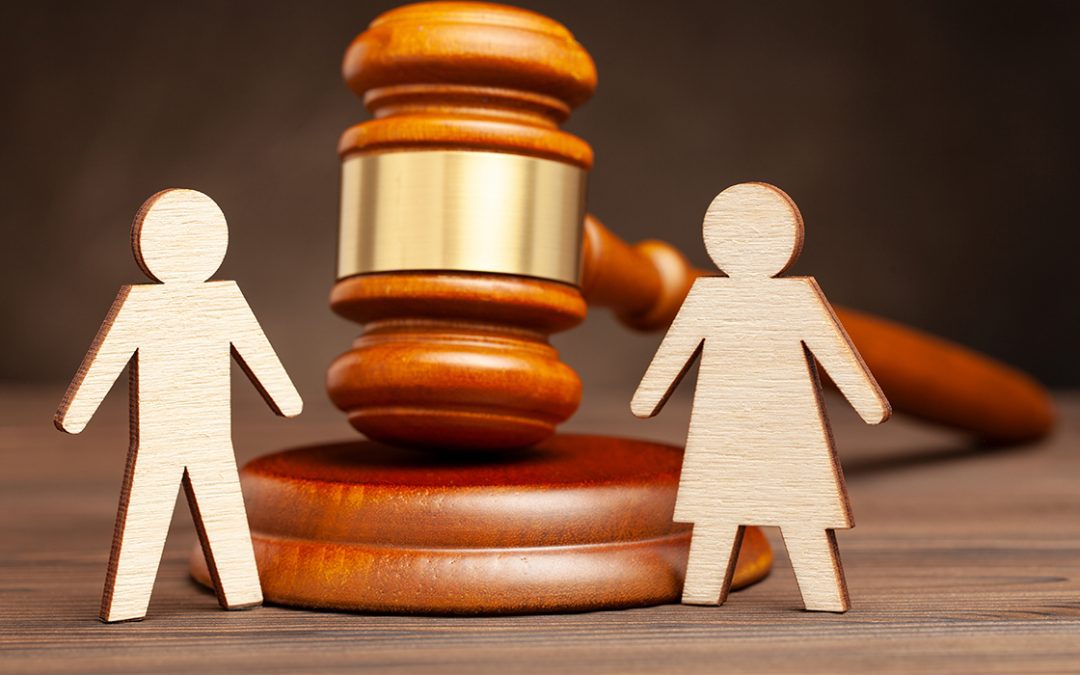 family law update